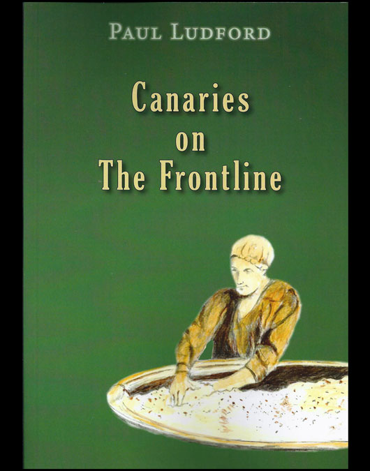 Canaries on the Frontline by Paul Ludford