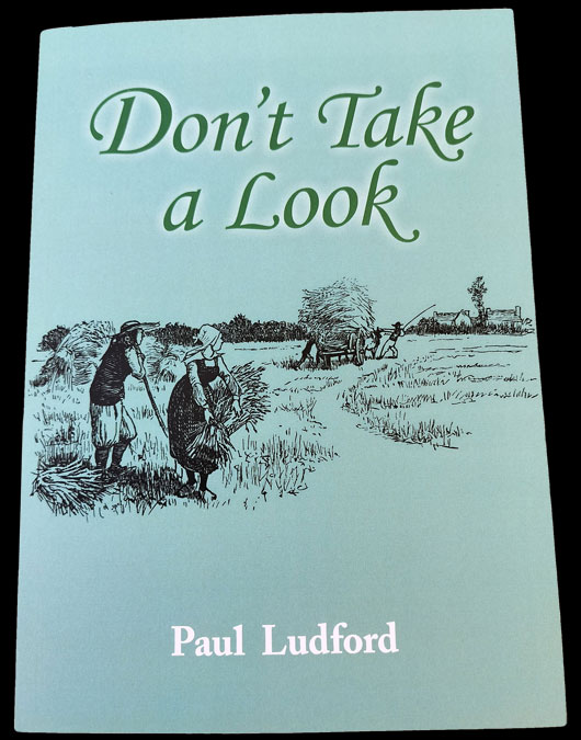 Don't Take A Look by Paul Ludford